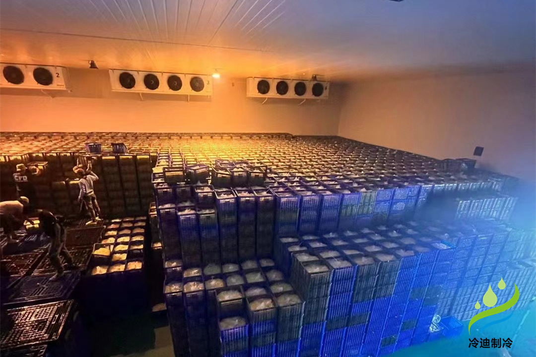 1000立方冷庫可以存多少噸？用多大制冷設(shè)備？